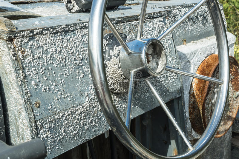 An Encrustation of Barnacles – A Sign of Hope
