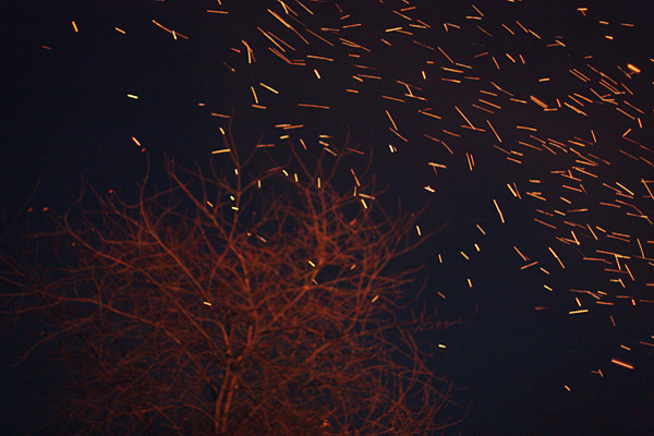 Embers in the Wind – A Sign of Hope